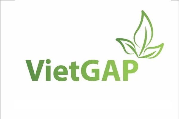 Chuẩn VietGAP